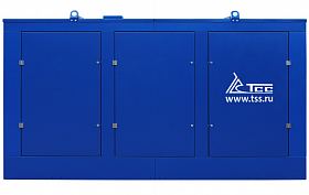 Дизельный генератор ТСС АД-300С-Т400-2РПМ5 с АВР — фото 2