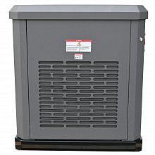 Генератор газовый EVOline GNG 13500 E — фото 4